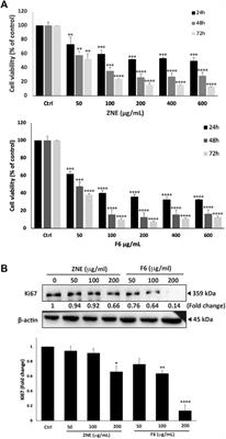 Fractionation and phytochemical composition of an ethanolic extract of Ziziphus nummularia leaves: antioxidant and anticancerous properties in human triple negative breast cancer cells